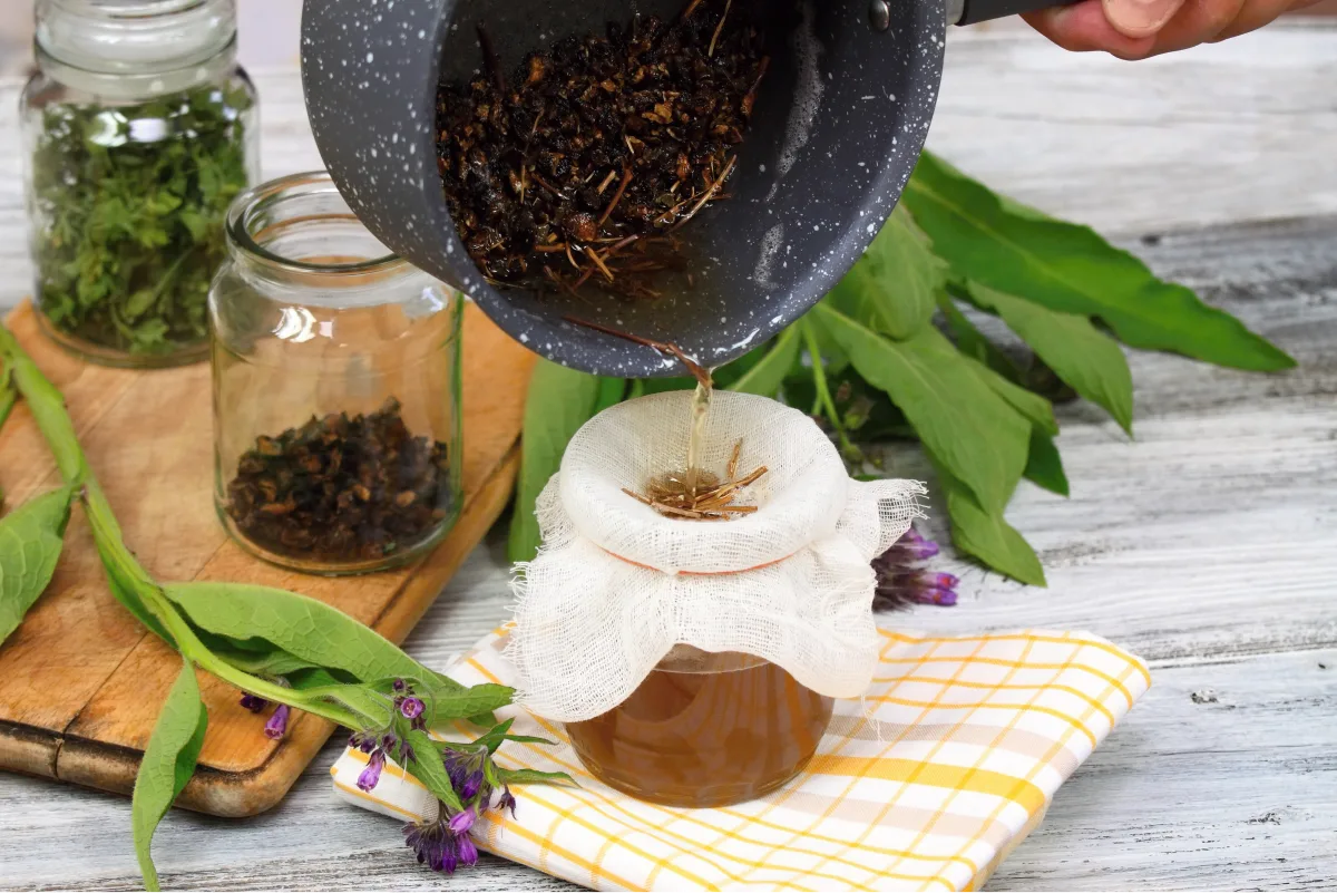 Priprema tinkture od gaveza