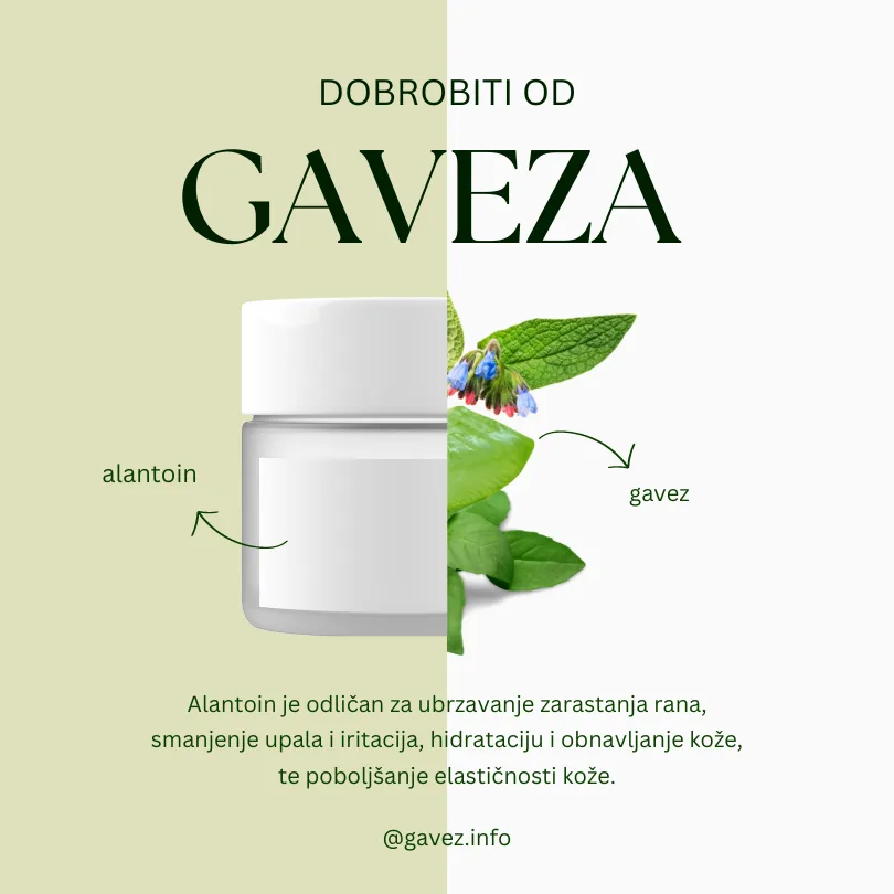 Gavez biljka — lekovita svojstva